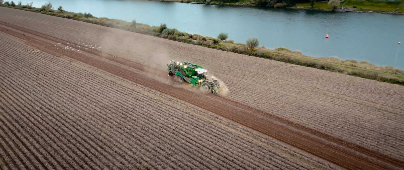 Still from TACO