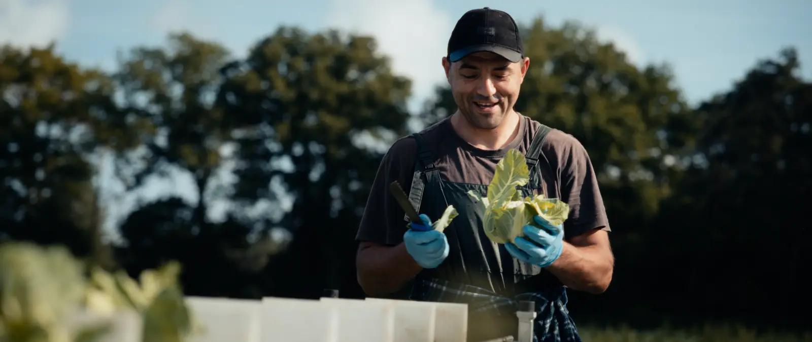 Still from TACO
